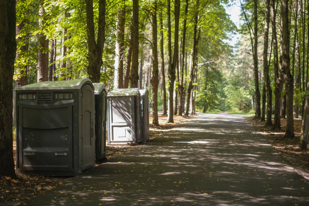 Portable Toilet Options We Offer in Paxtang, PA
